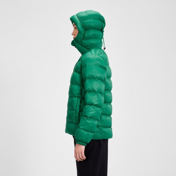 Berghaus Women's Ewden Jacket - Green